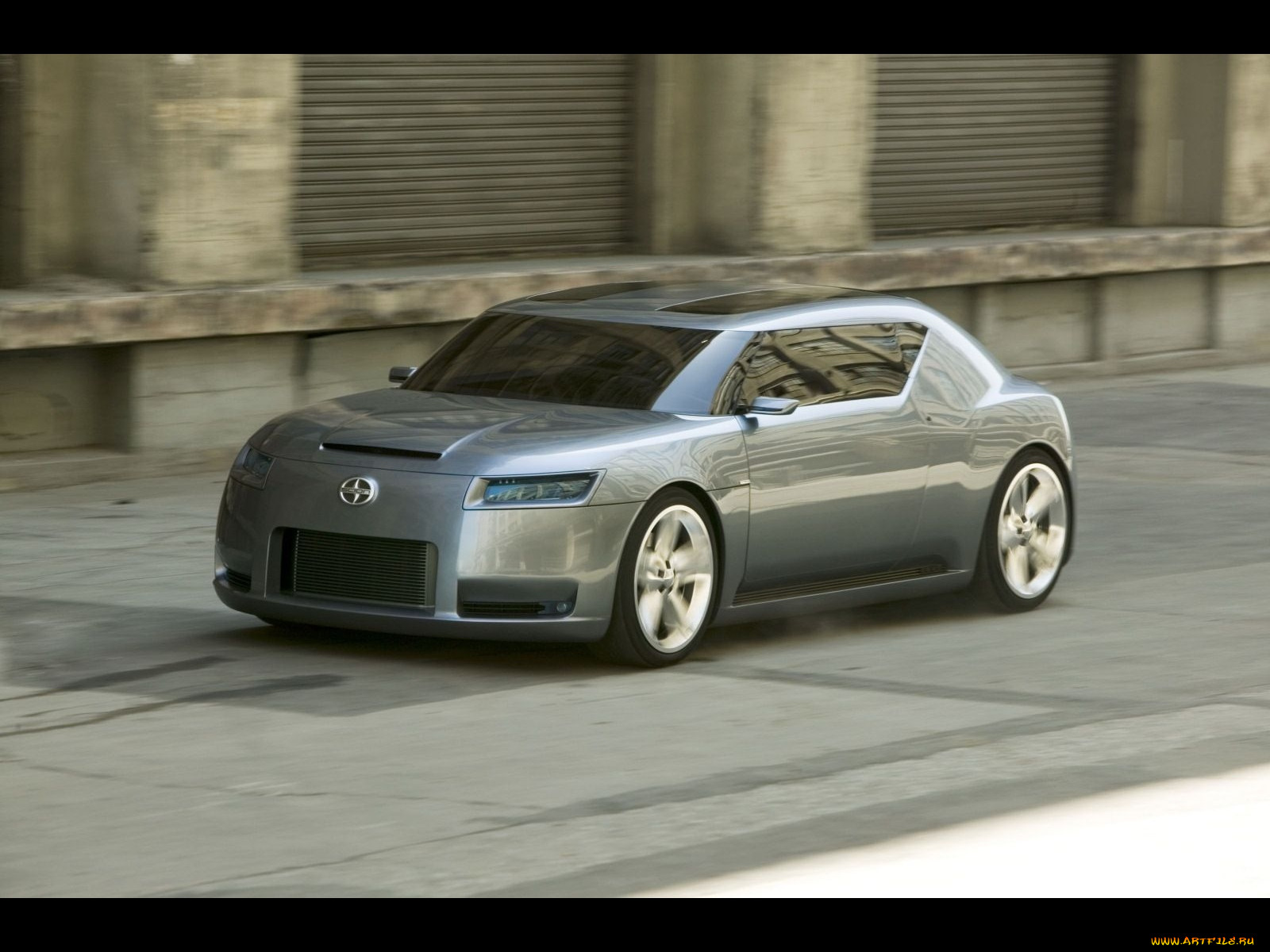 , scion